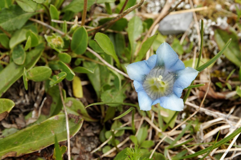 20120623_097